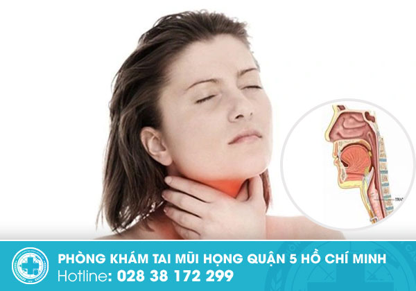 Hạt xơ dây thanh nguy hiểm cỡ nào và cách điều trị khoa học