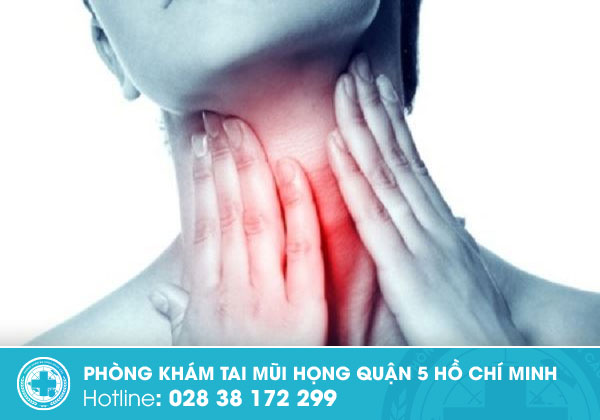 Hình ảnh viêm họng hạt chân thực và những vấn đề liên quan bạn nên biết