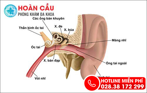 Ù tai – Cần lắm 1 địa chỉ hỗ trợ điều trị hiệu quả